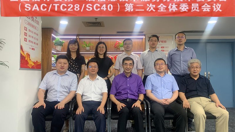 信息技术加盟代理：揭秘加盟背后的逻辑与选择**